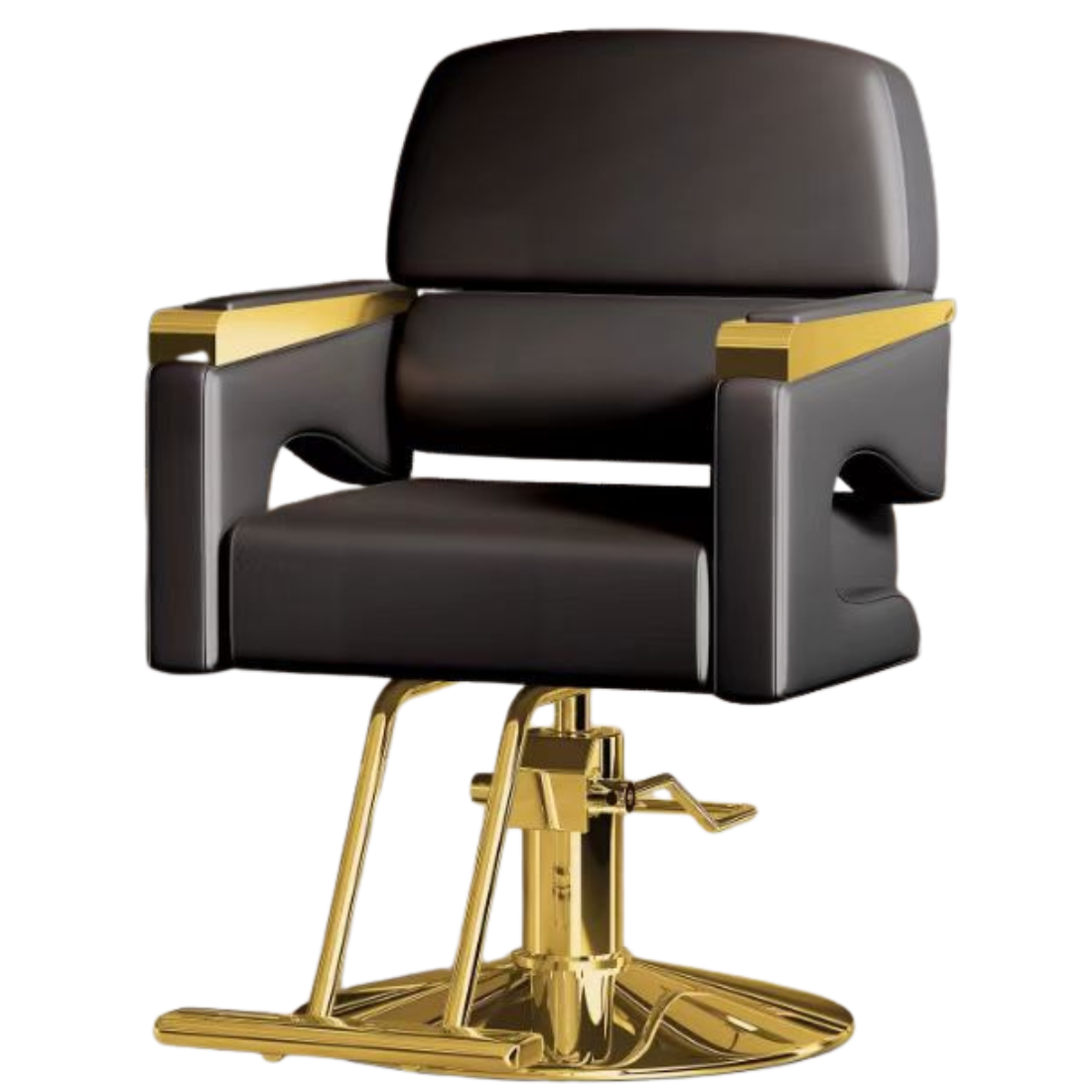 Hair Salon Chair, Barber Chair with Heavy Duty Hydraulic Pump, Height Adjustable, 360° Swivel Spa Beauty Equipment, Makeup Hair Salon Chairs